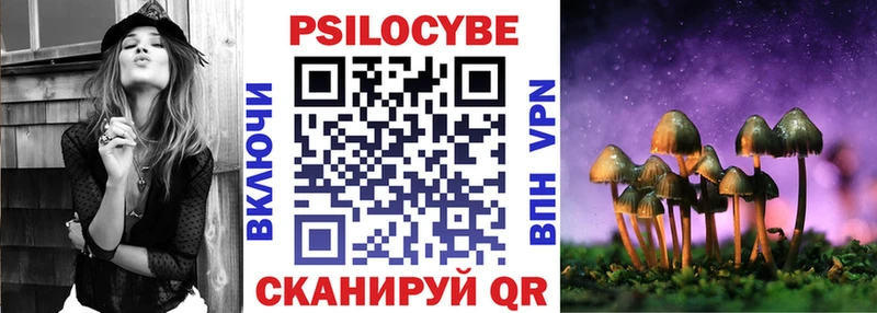 Галлюциногенные грибы Psilocybine cubensis  площадка как зайти  Протвино 