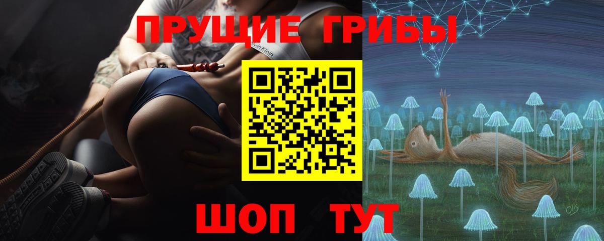 Протвино  Псилоцибиновые грибы мухоморы  закладки  Псилоцибиновые грибы мицелий  Вход с VPN 